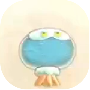 Jetty Jelly